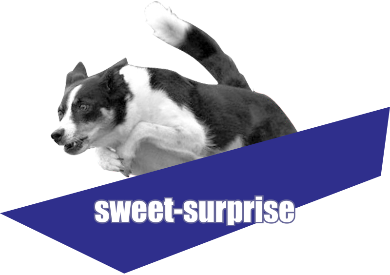 Sweetsurprise